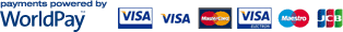 WorldPay Accepts